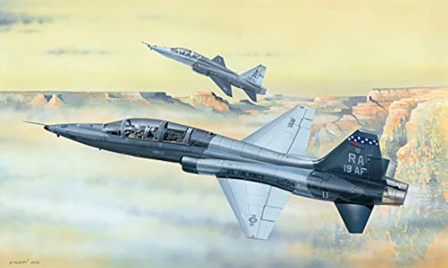 Amazon.com: Trumpeter 1/48 Scale Northrop T-38C Talon